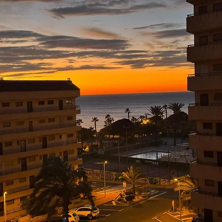 Miramar Vibez * トレビエハ